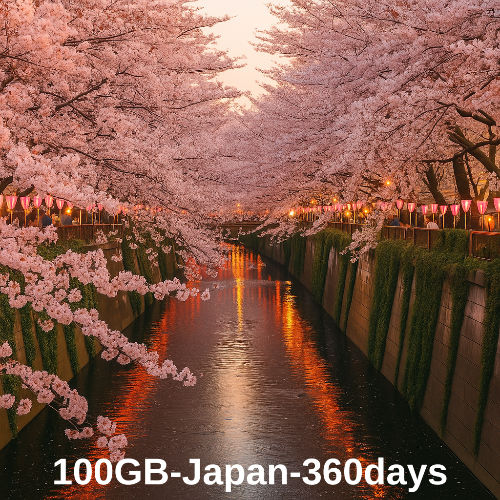 100GB-Japan-360 Days