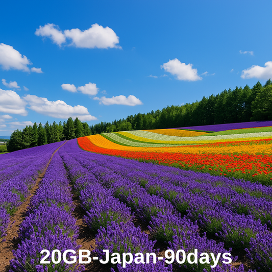 20GB-Japan-90 Days