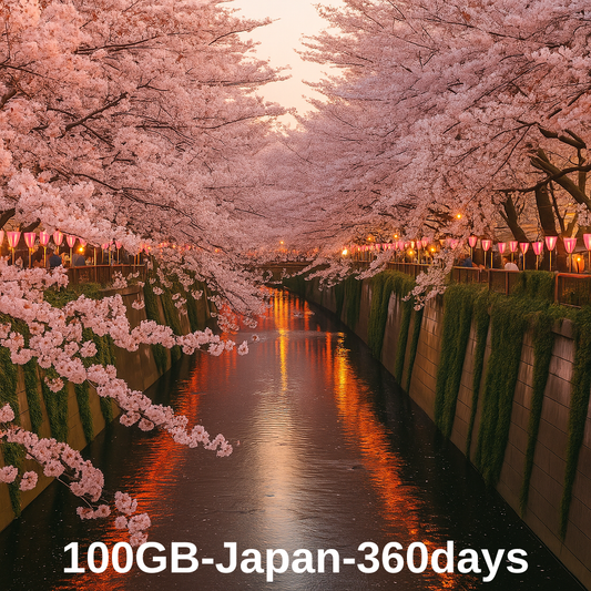 100GB-Japan-360 Days