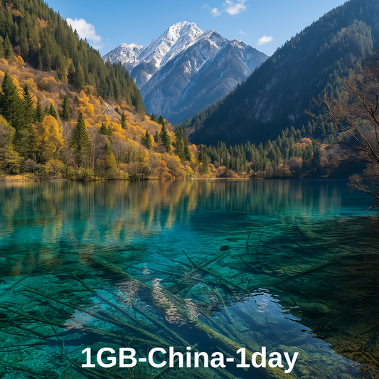 1GB-China-1 Day