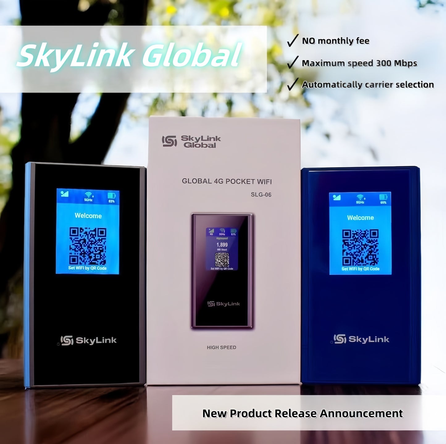 SLG-06